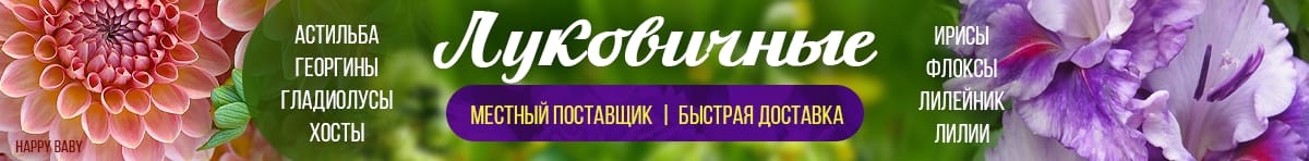 цветы