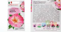 Петуния флоренция