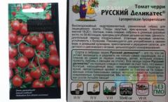 Томаты Деликатес Отзывы Фото